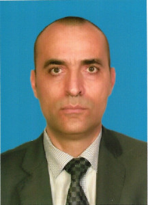mohammad Mostafa Iskandar